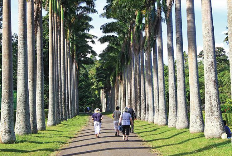 1. Royal Botanical Garden